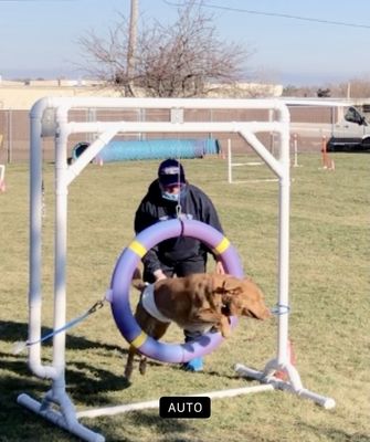 Agility Junkies