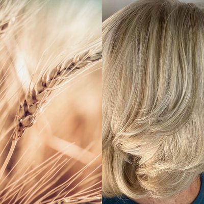 Wheat Blonde - West Palm Beach Hair Salon