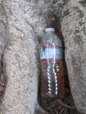 A urine bottle left in our front yard after a homeless person spent the night in front of our place.