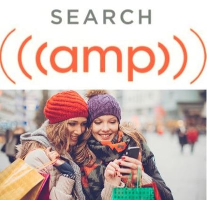 Search AMP Franchise Marketing Services