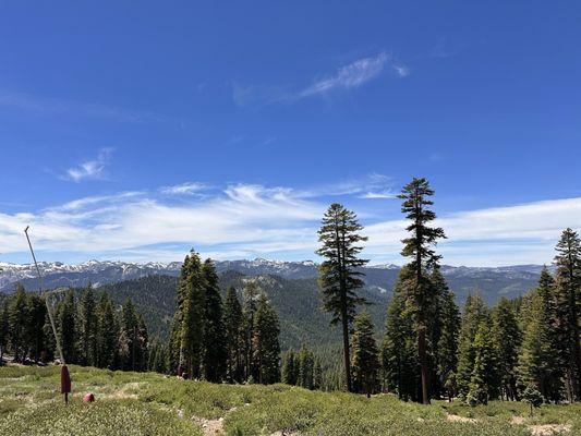 View from the back porch.