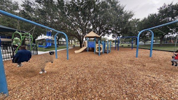 Swings and a playground.