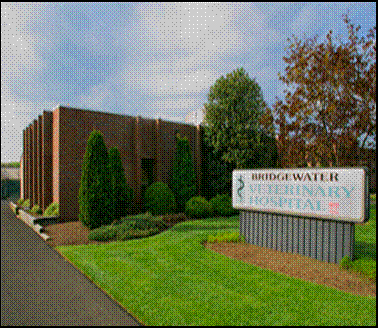 Bridgewater Veterinary Hospital