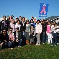 Breast Cancer walk 2010