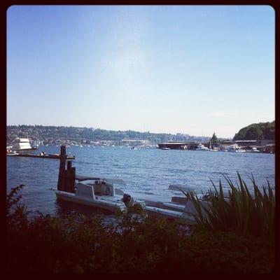 Lake Union from the trail