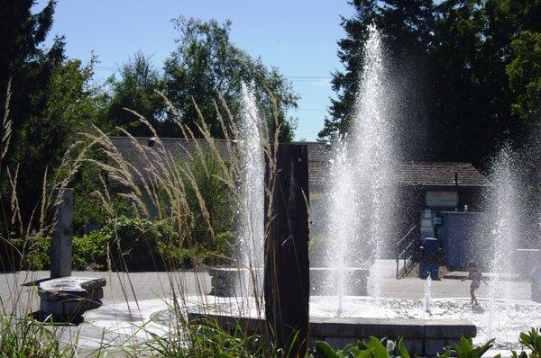 The fountain at Centennial Riverwalk Park right in the heart of town and overlooking the Nooksack River.