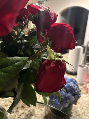 Roses