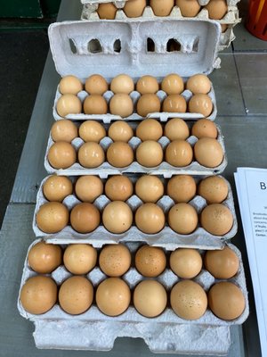 Farm raised brown eggs from their own farm!