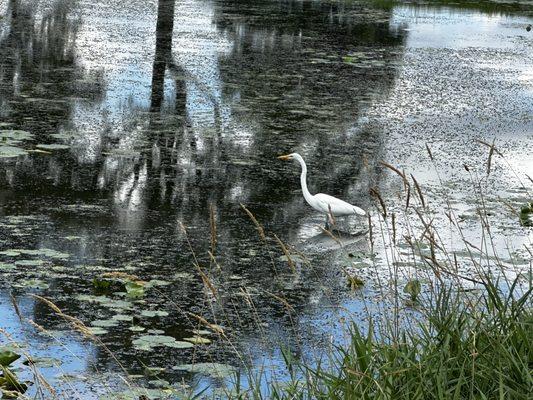 Friendly Brookview patron