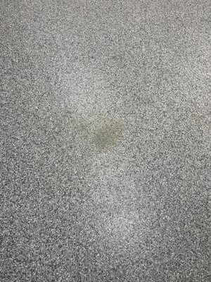 Stain that will not come out.