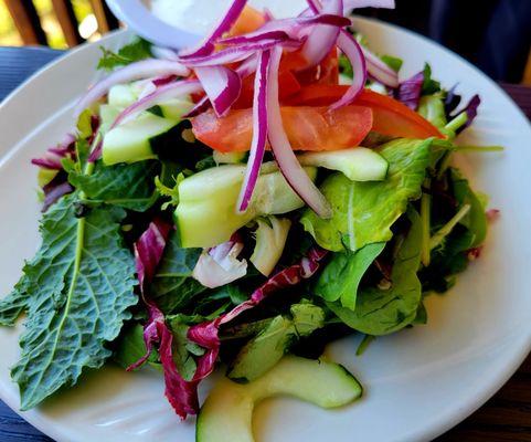 Fresh house salad was delicious!