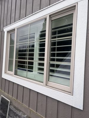 Your windows are not clean unless they are Pristine!