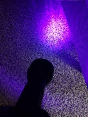 Black light for urine treatment