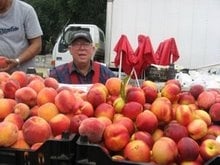 The peach-apple man at Grand Army Plaza, Brooklyn, NY