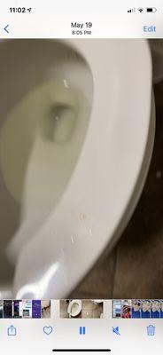 Pee on the toilet