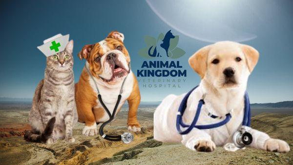 Animal Kingdom Veterinary Hospital