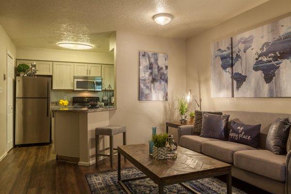 Livingroom and Kitchen