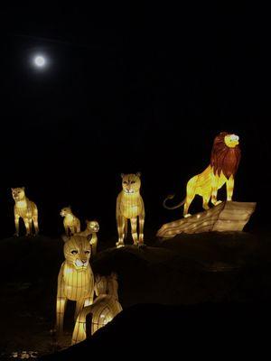 Moonlight and Lion guards