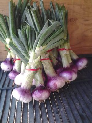 Red onions