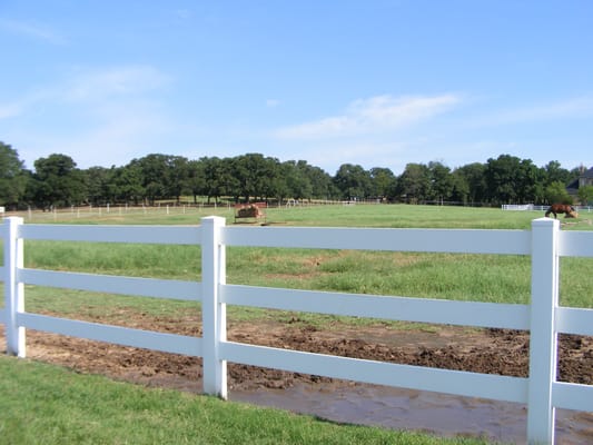 A view of the open pasture at Fossil Gate Farms