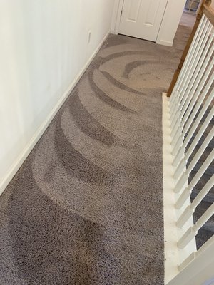 Premier Dry Cleaning Carpet