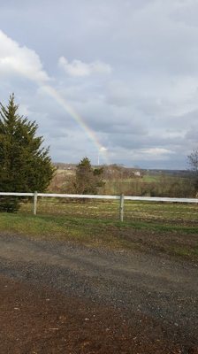 Rainbows seem to always end in our field