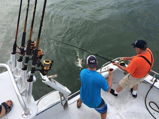 Ye Ole Pirate Fishing Charters