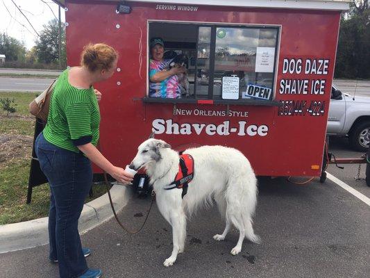 RioTheBorzoi loves his New Orleans Style Shaved Ice