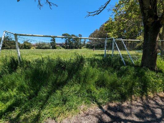 Backside of the goals near the walking path