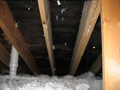 Attic mold growth from roof leak and poor ventilation.