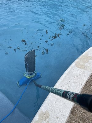 Here at Stellar Pool Service we believe in using the "right" tools for every job to provide a Stellar finished product.