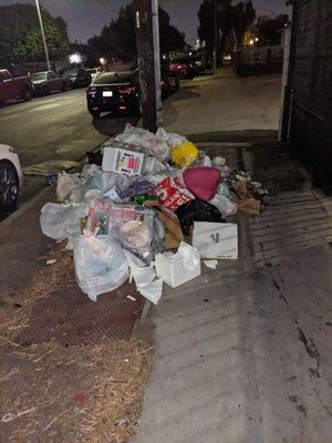 The cove apartments in Sun valley is completely disgusting this is what's outside of the dumpsters right now