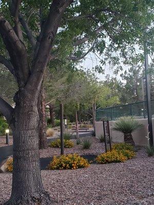 Sun City Summerlin Community Association