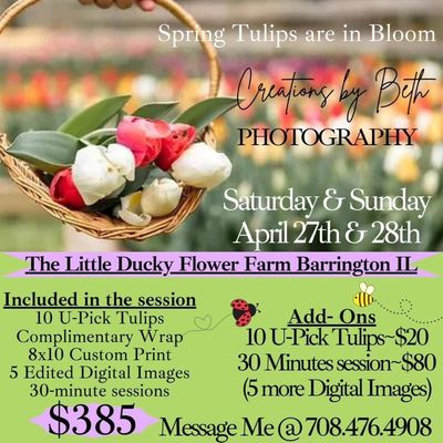 Book your Professional Spring Photography Sessions Today! Spend time picking beautiful Tulips while I capture your special moments