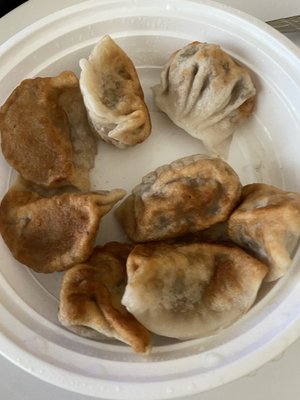 Pork fried dumplings.. the BEST!!