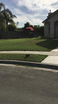 Yard cleaning