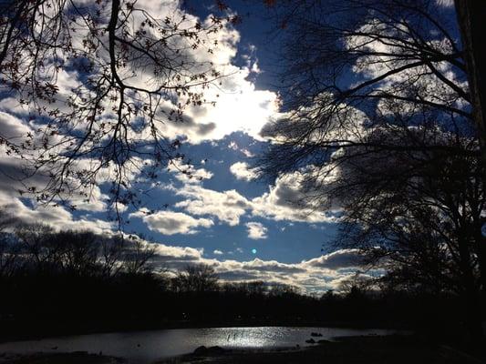 Fall day at the dog run ...