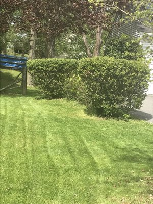 LawnServices