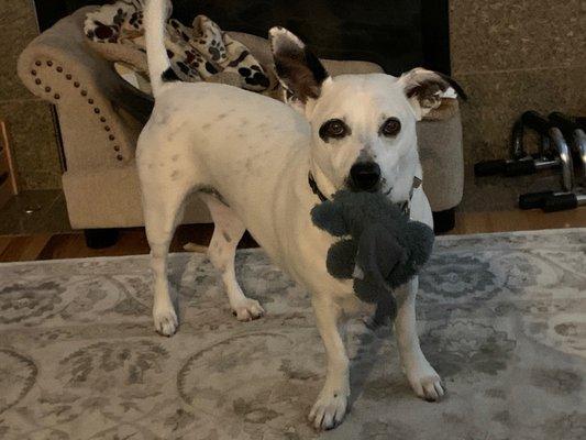 Ariel playing with her toy.