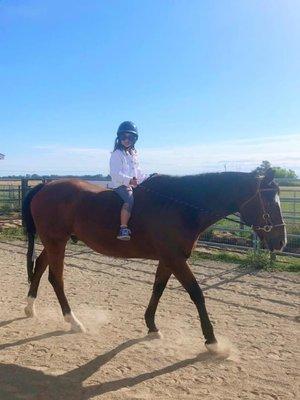 Horseback Riding Lessons