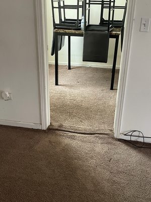 Carpet cleaning before/after