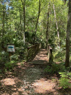 Black Hammock Wilderness