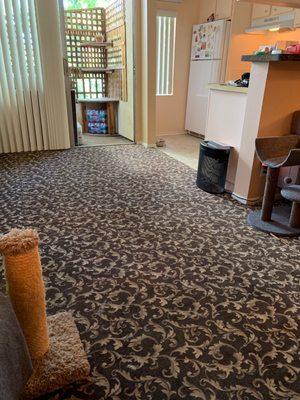 Elegant carpeting at reasonable cost!