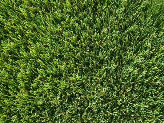 Realistic Grass At The Lowest Prices Around