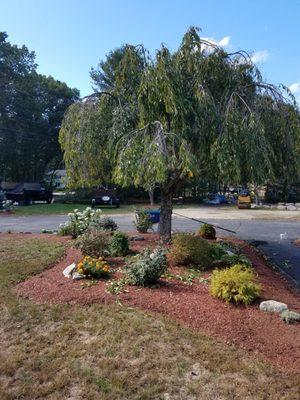 Andrews Landscaping and Tree Service