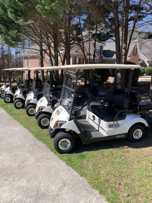 Our brand new golf carts