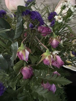 More flowers dying