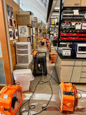 Water Damage in a government building