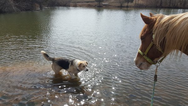 Cooling off!