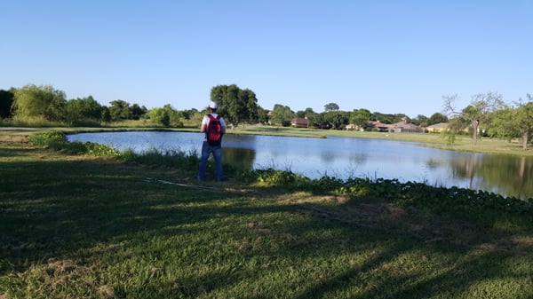 Lots of small fishing ponds for kids.